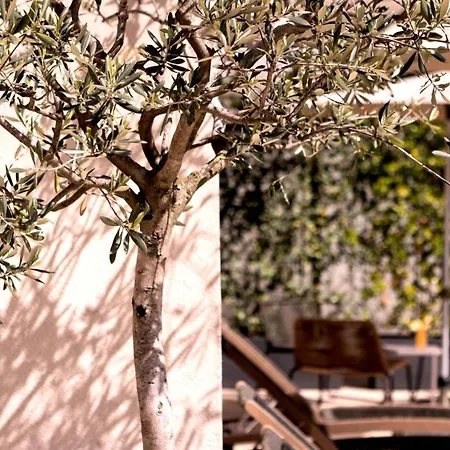 Hotel City Hotel Merano 4*